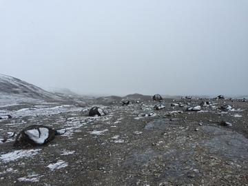 Spitsbergen 26.-30.08.2016 (427)