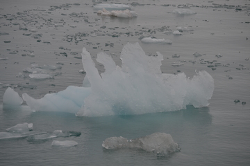 Spitsbergen 26.-30.08.2016 (471)